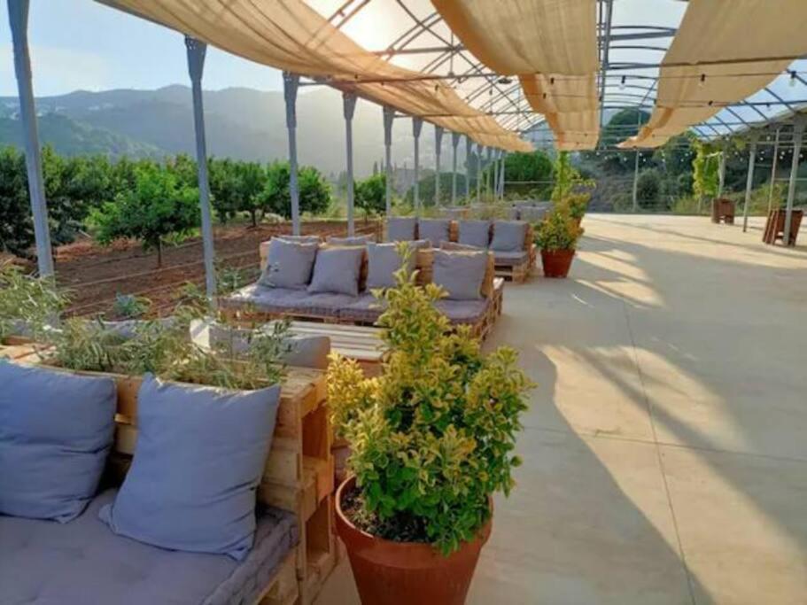 Beautiful Spot For Remote Work Lejlighed Alella Eksteriør billede